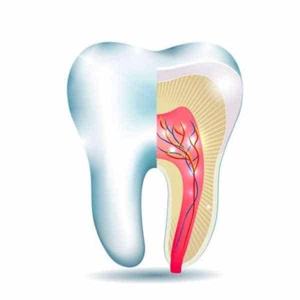 Endodontia-Imagify.jpg